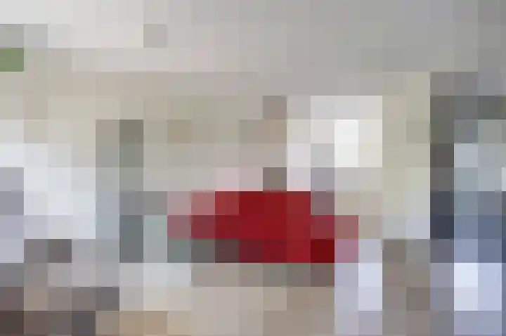 Karper 5 Zuid-Scharwoude thumbnail 6