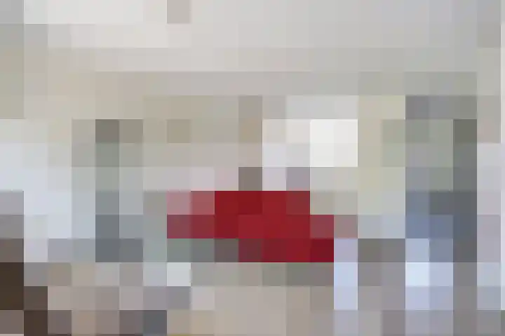 Karper 5 Zuid-Scharwoude thumbnail 8