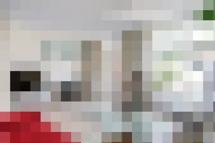 Karper 5 Zuid-Scharwoude thumbnail 9