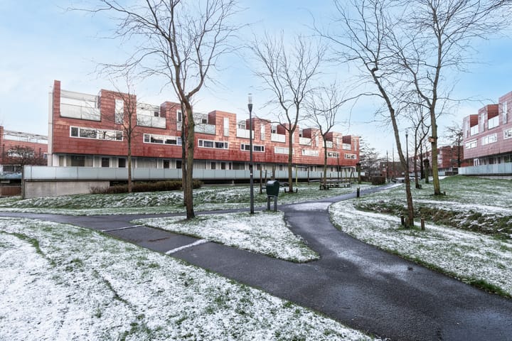 Karper 57 in Amersfoort foto