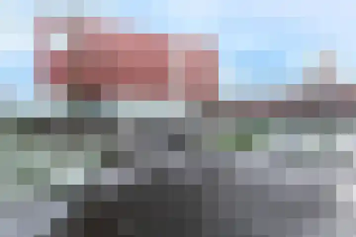 Karper 57 Amersfoort thumbnail 32