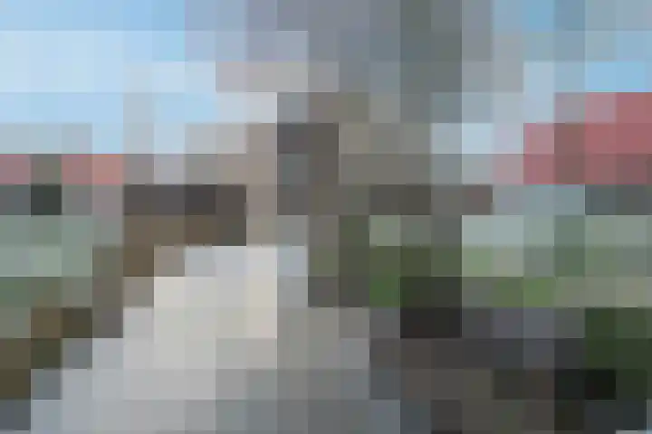 Karper 57 Amersfoort thumbnail 36
