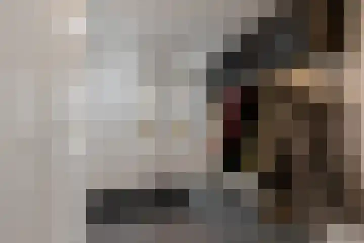Karper 58 Hoogeveen thumbnail 22