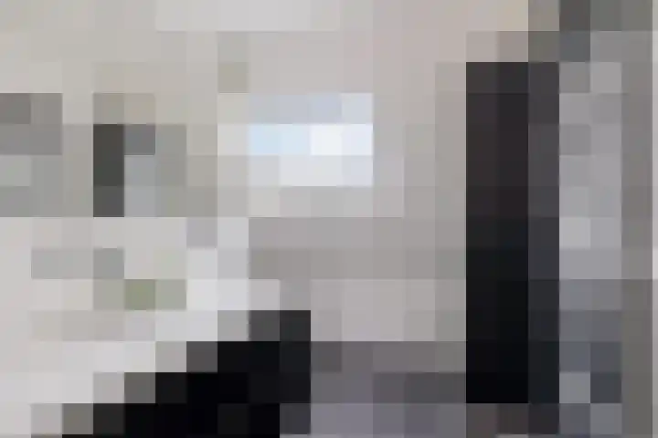 Karper 58 Hoogeveen thumbnail 30