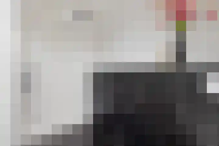 Karper 58 Hoogeveen thumbnail 32