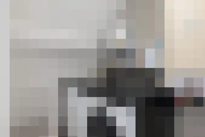 Karper 58 Hoogeveen thumbnail 34