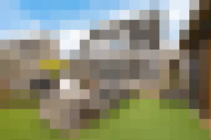 Karper 58 Hoogeveen thumbnail 38