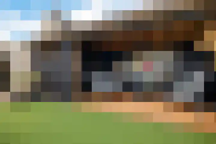 Karper 58 Hoogeveen thumbnail 39