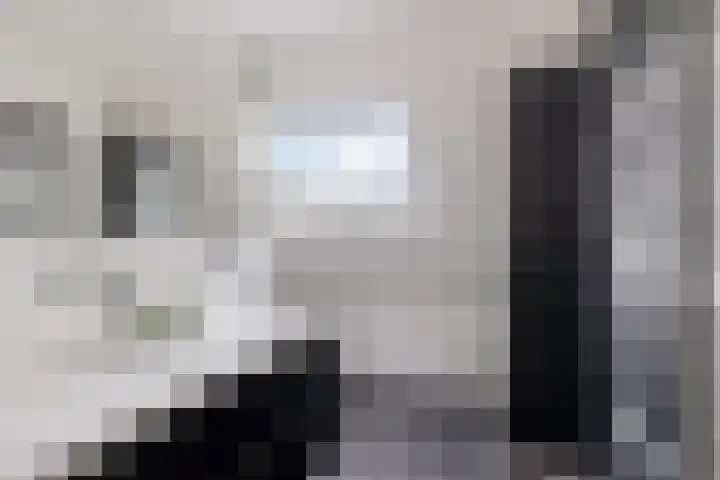 Karper 58 Hoogeveen thumbnail 4