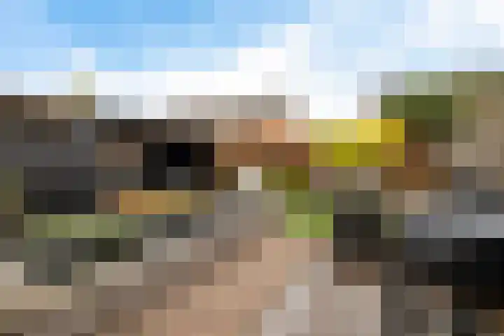 Karper 58 Hoogeveen thumbnail 40