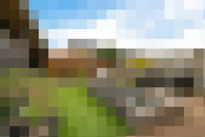 Karper 58 Hoogeveen thumbnail 41