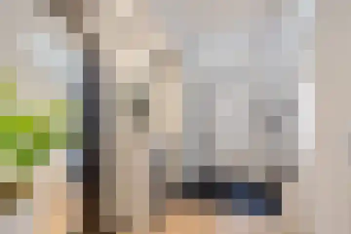 Karper 58 Hoogeveen thumbnail 6