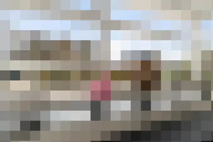 Karper 58 Hoogeveen thumbnail 9