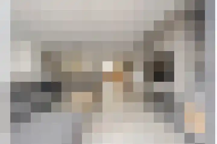 Karper 6 Oostzaan thumbnail 12