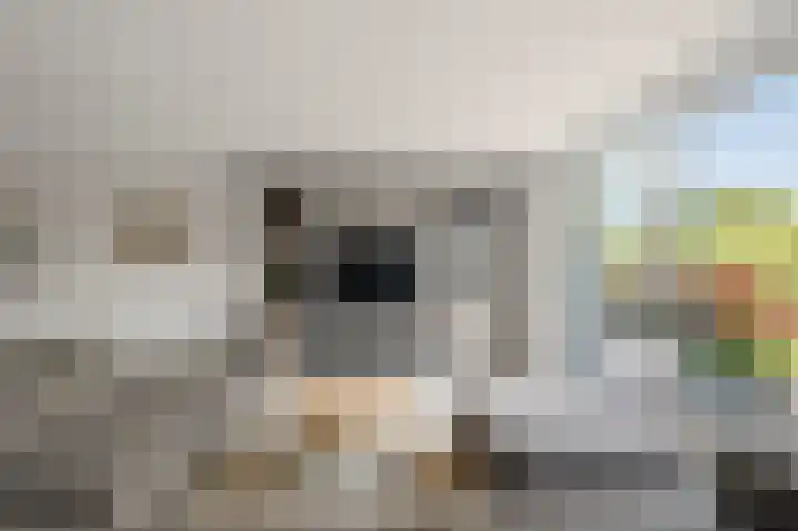 Karper 6 Oostzaan thumbnail 13