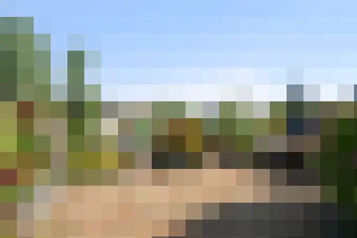 Karper 6 Oostzaan thumbnail 18