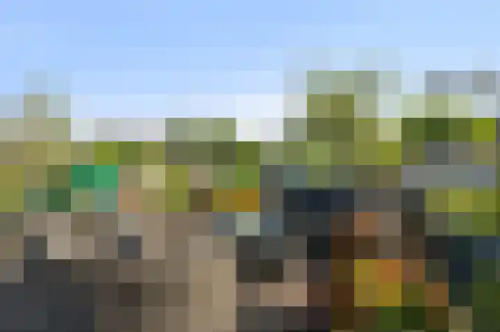 Karper 6 Oostzaan thumbnail 19