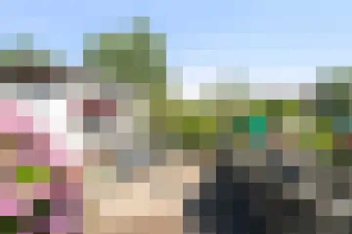 Karper 6 Oostzaan thumbnail 20