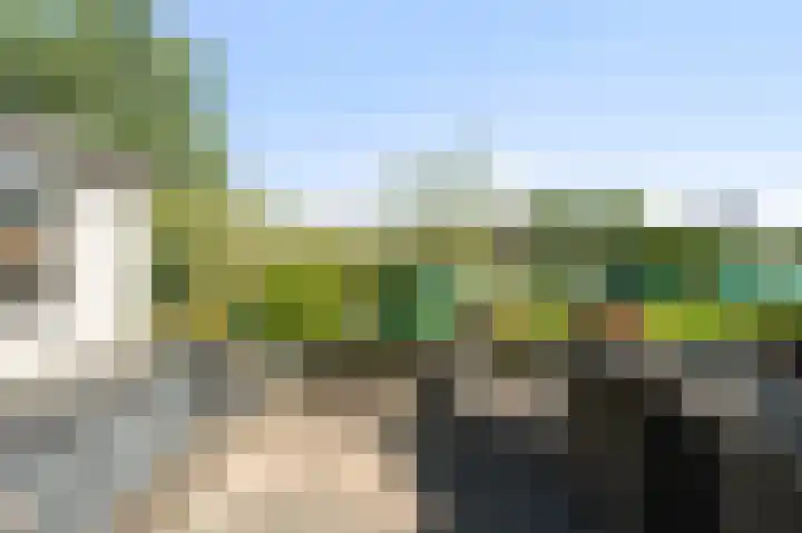 Karper 6 Oostzaan thumbnail 21