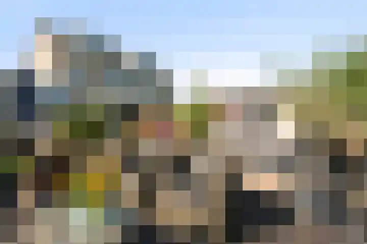 Karper 6 Oostzaan thumbnail 22