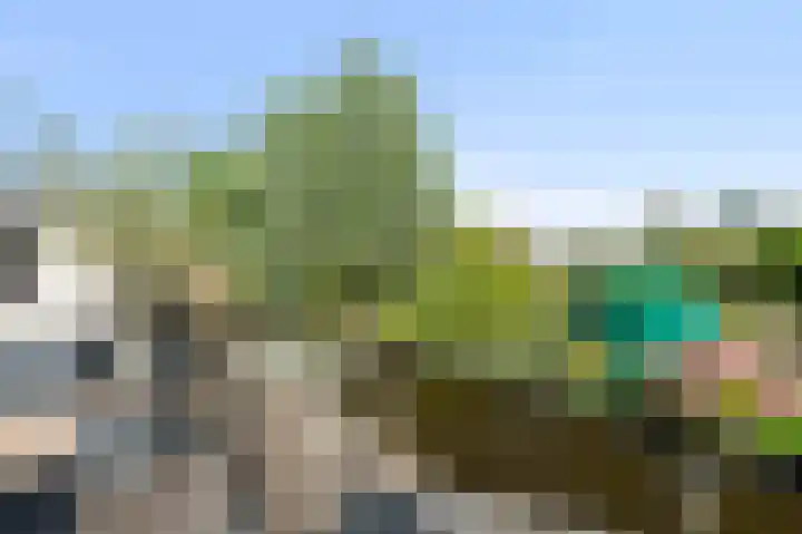 Karper 6 Oostzaan thumbnail 23