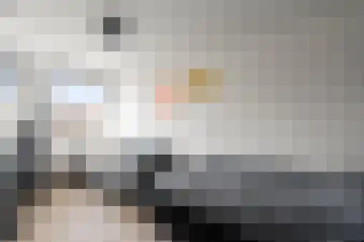 Karper 6 Oostzaan thumbnail 29