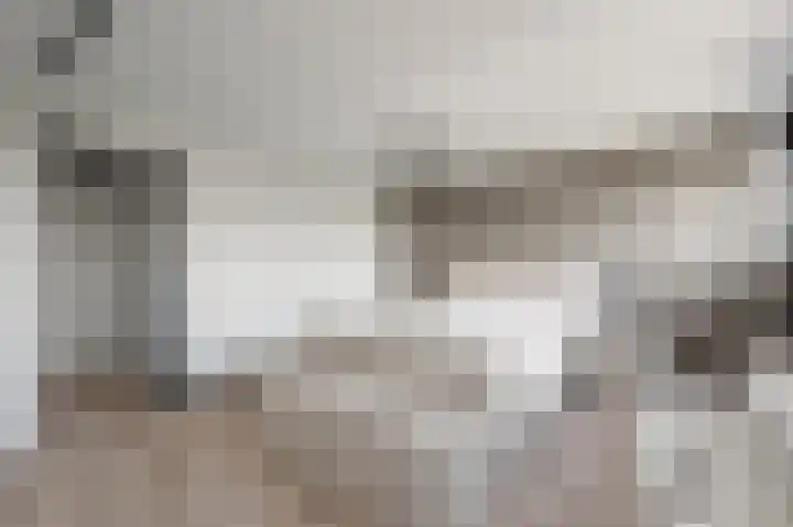 Karper 6 Oostzaan thumbnail 33