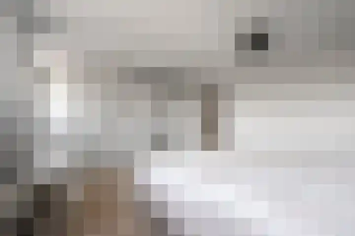Karper 6 Oostzaan thumbnail 35