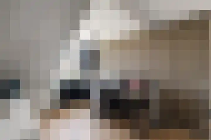 Karper 6 Oostzaan thumbnail 39