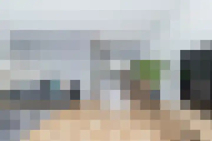 Karper 66 Hoogeveen thumbnail 12