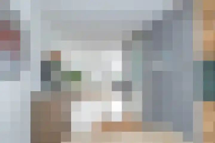 Karper 66 Hoogeveen thumbnail 24