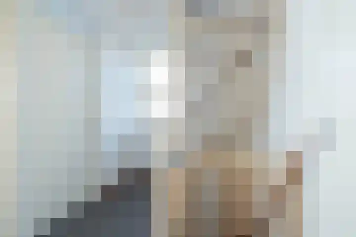 Karper 66 Hoogeveen thumbnail 32