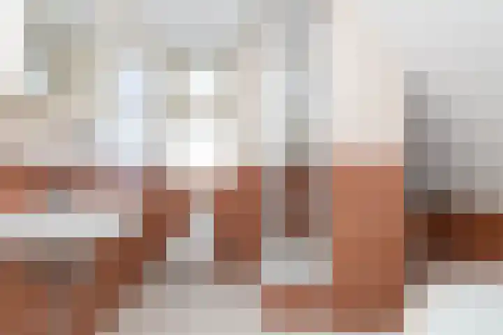 Karper 66 Hoogeveen thumbnail 37