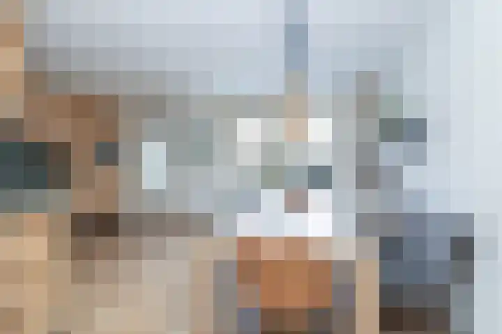 Karper 66 Hoogeveen thumbnail 4