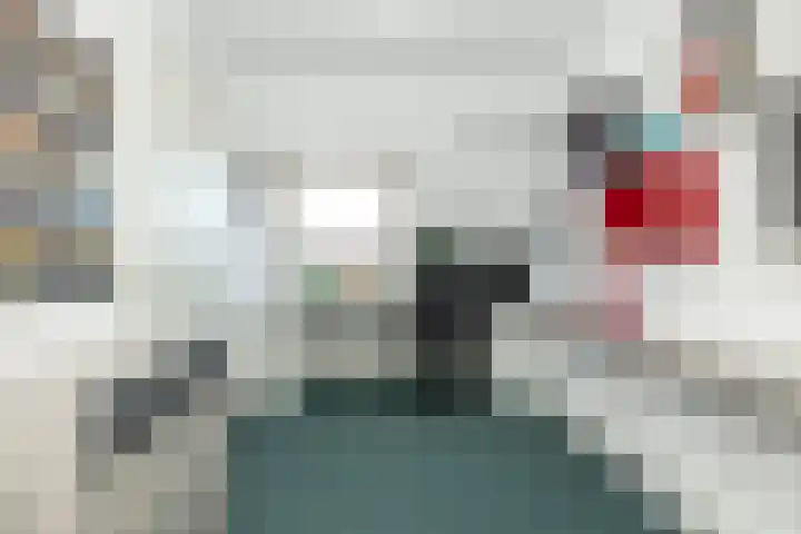 Karper 66 Hoogeveen thumbnail 42