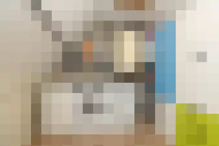 Karper 66 Hoogeveen thumbnail 43