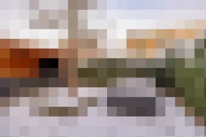 Karper 66 Hoogeveen thumbnail 46