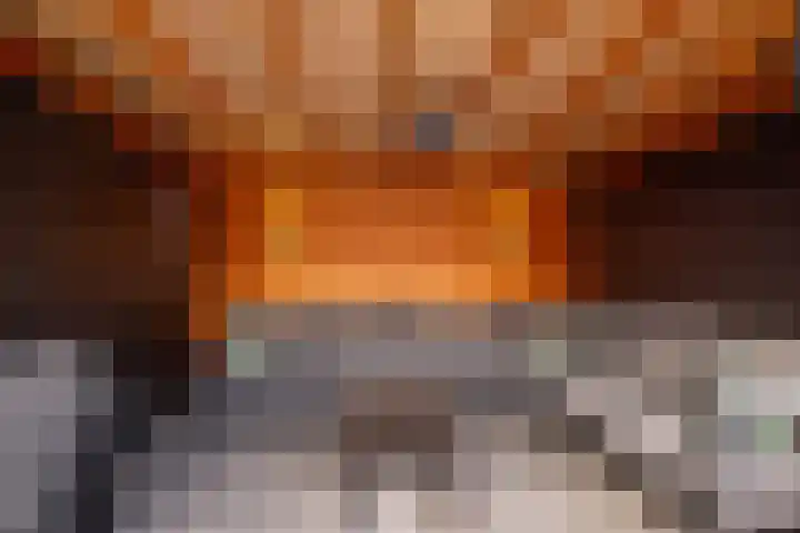 Karper 66 Hoogeveen thumbnail 48