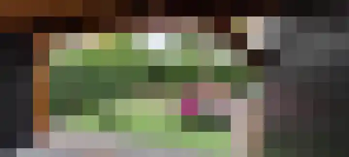 Karper 66 Hoogeveen thumbnail 50