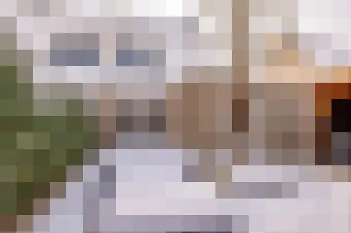 Karper 66 Hoogeveen thumbnail 51