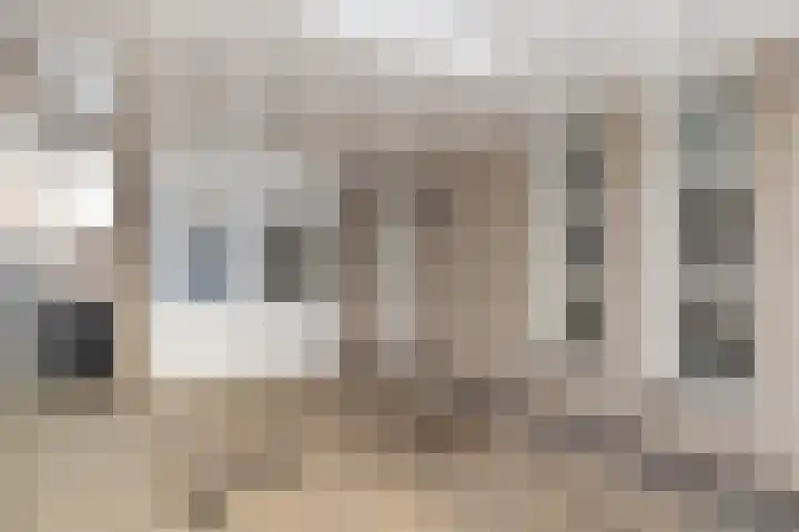 Karper 66 Hoogeveen thumbnail 6