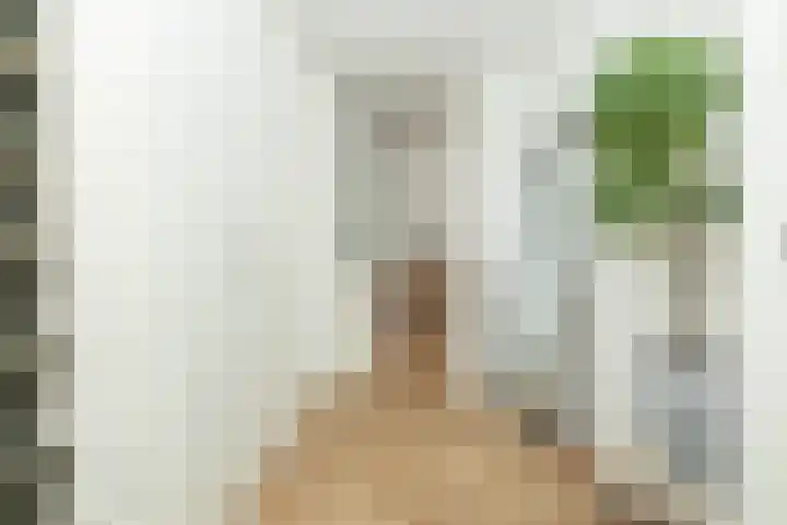 Karper 66 Hoogeveen thumbnail 7