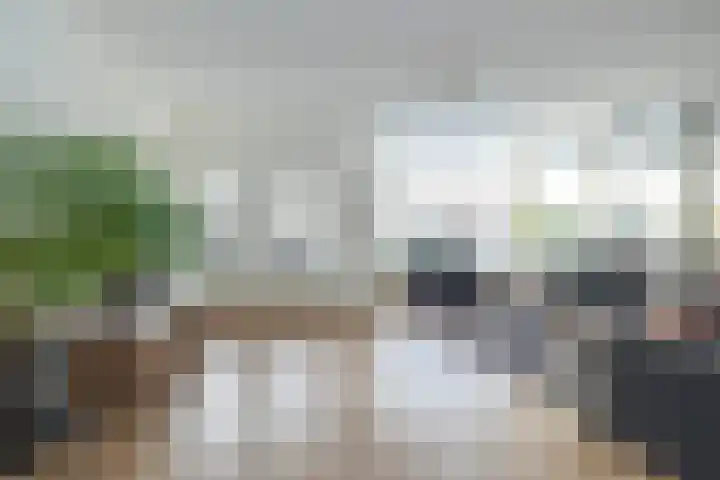 Karper 66 Hoogeveen thumbnail 8