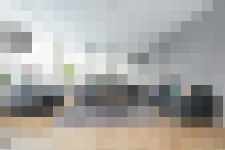 Karper 66 Hoogeveen thumbnail 9