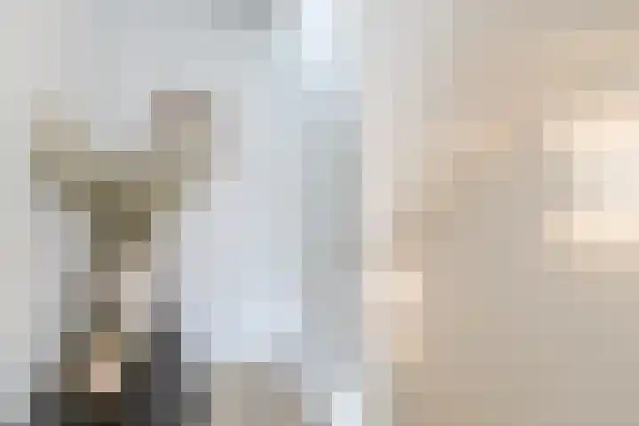 Karper 72 Amersfoort thumbnail 13