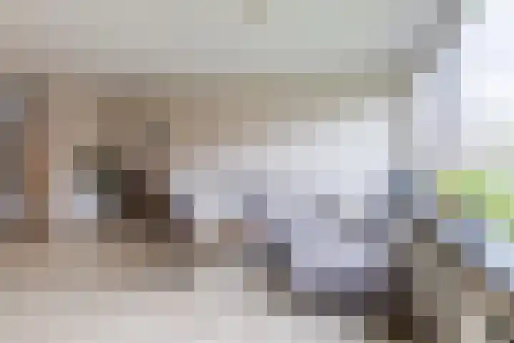 Karper 72 Amersfoort thumbnail 15