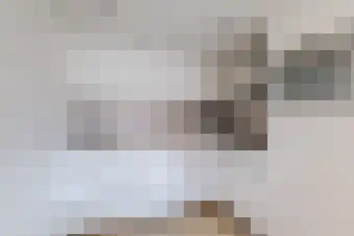 Karper 72 Amersfoort thumbnail 20