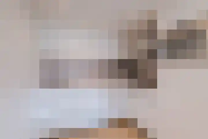 Karper 72 Amersfoort thumbnail 21