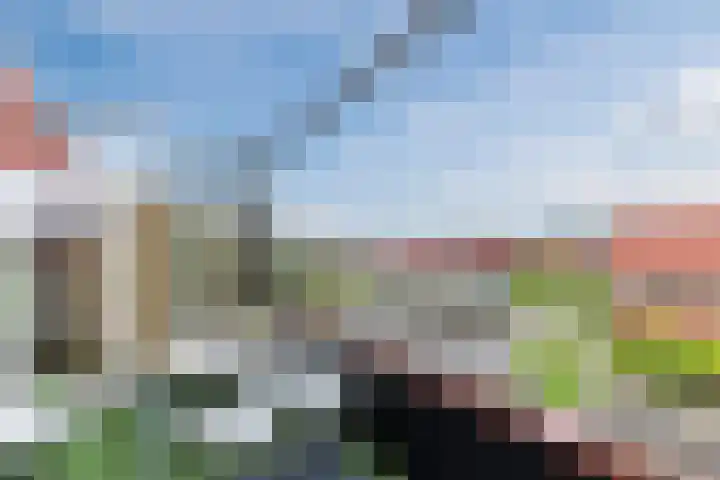 Karper 72 Amersfoort thumbnail 34
