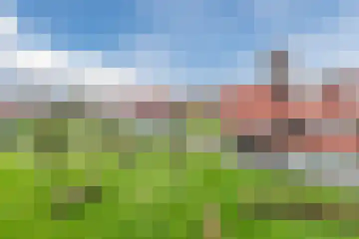 Karper 72 Amersfoort thumbnail 39